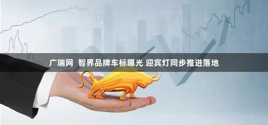 广瑞网  智界品牌车标曝光 迎宾灯同步推进落地