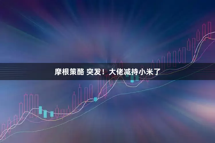 摩根策酪 突发！大佬减持小米了