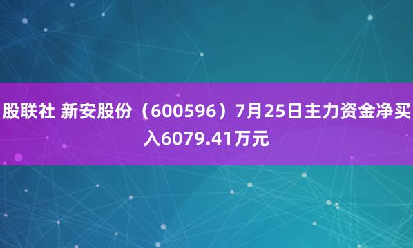 股联社 新安股份（600596）7月25日主力资金净买入6079.41万元