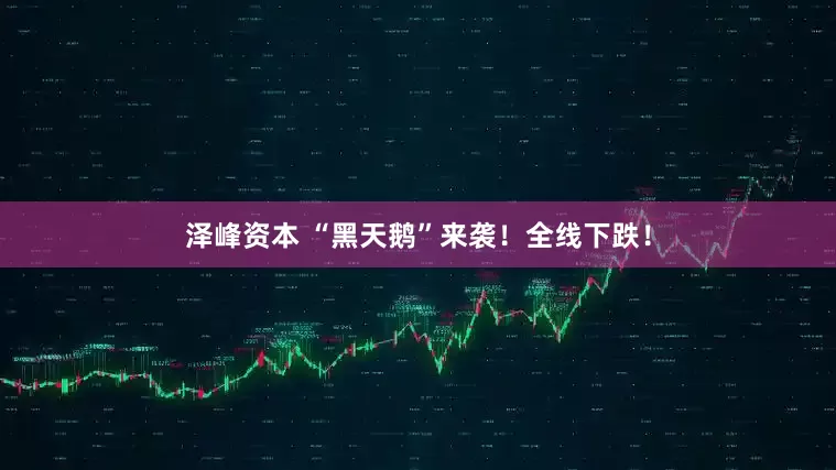泽峰资本 “黑天鹅”来袭！全线下跌！