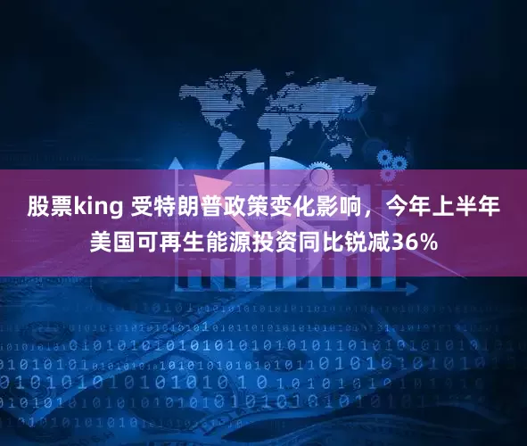 股票king 受特朗普政策变化影响，今年上半年美国可再生能源投资同比锐减36%