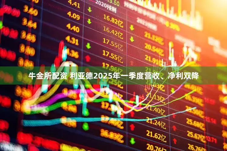 牛金所配资 利亚德2025年一季度营收、净利双降