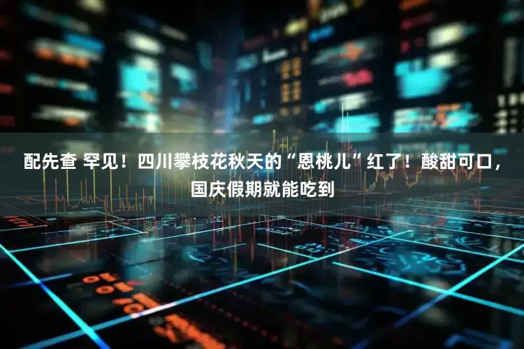 配先查 罕见！四川攀枝花秋天的“恩桃儿”红了！酸甜可口，国庆假期就能吃到