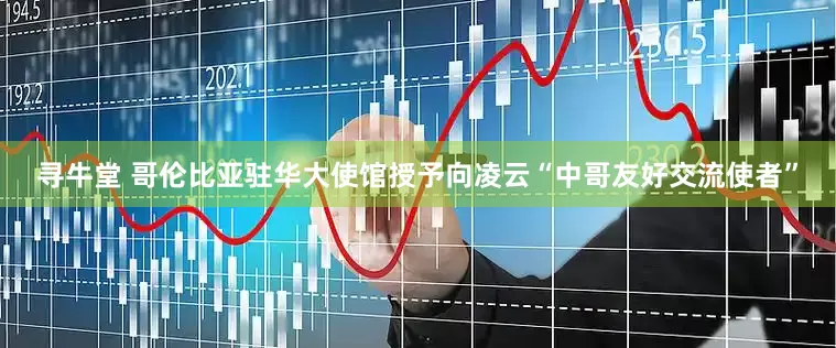 寻牛堂 哥伦比亚驻华大使馆授予向凌云“中哥友好交流使者”